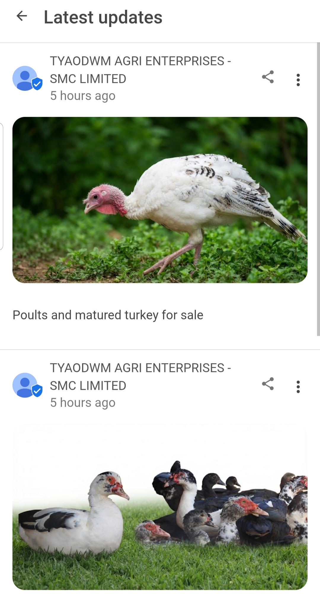 TYAOWM LTD SMC LTD